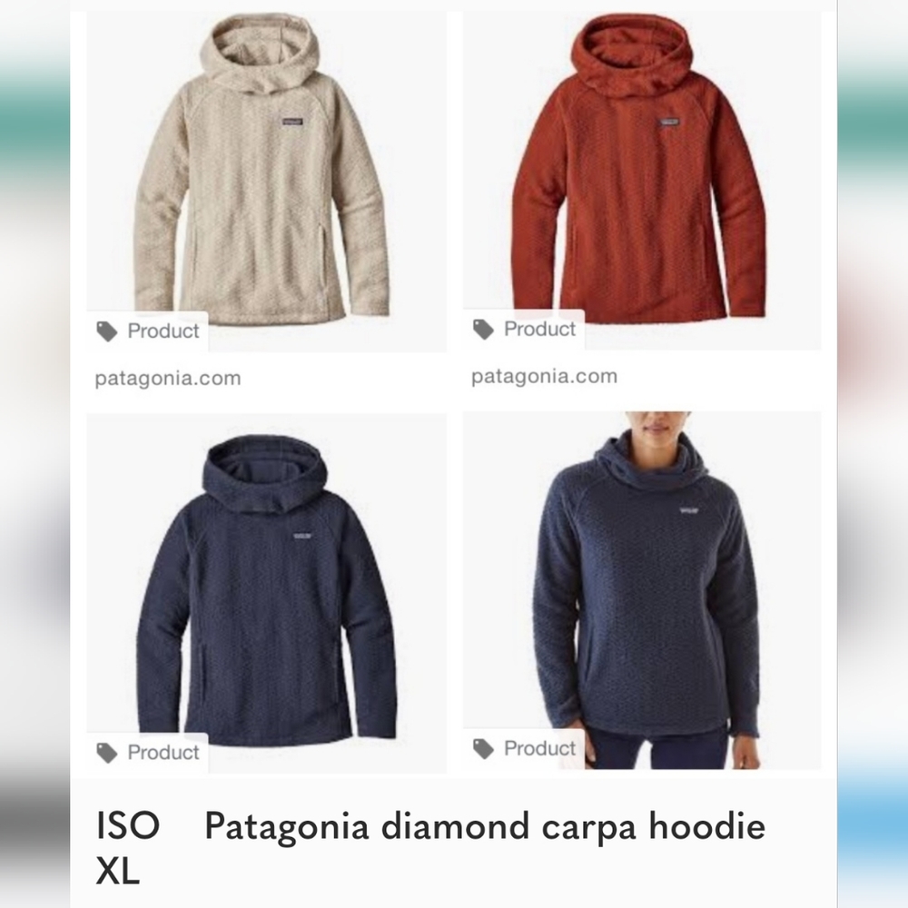 ISO Patagonia Diamond Capra Hoodie XL